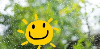How to Enjoy a Rainy Day? day
