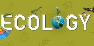 What is Ecology? What is ecology?
