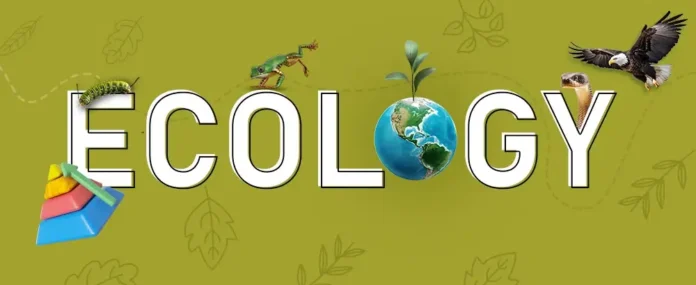 Ecology What is ecology?