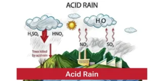 Effects of Acid Rain acid rain