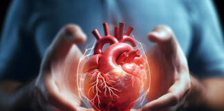Human Heart Health heart