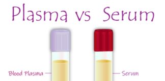 Blood Plasma and Serum serum