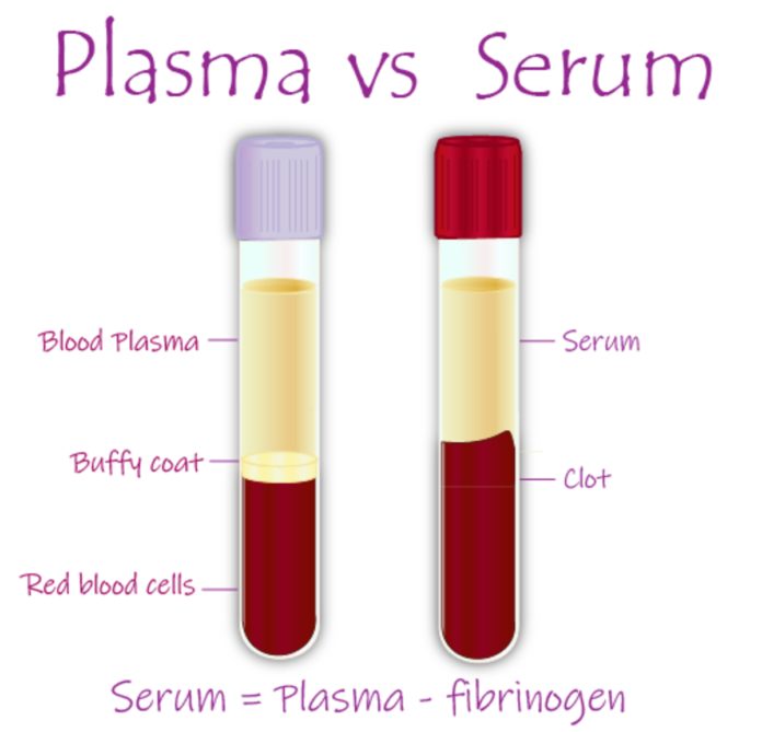 difference-between-plasma-and-serum serum