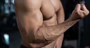 Build Biceps: How? 7 biceps