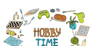 Best Hobbies to Adopt stock