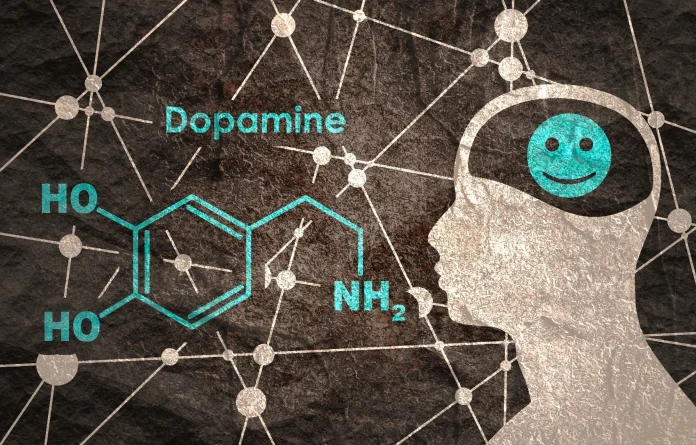 Dopamine: The Brain’s Key Chemical Messenger