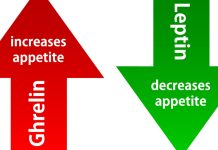 Hunger Hormone Hunger Hormone: Understanding Ghrelin and Its Role in Appetite