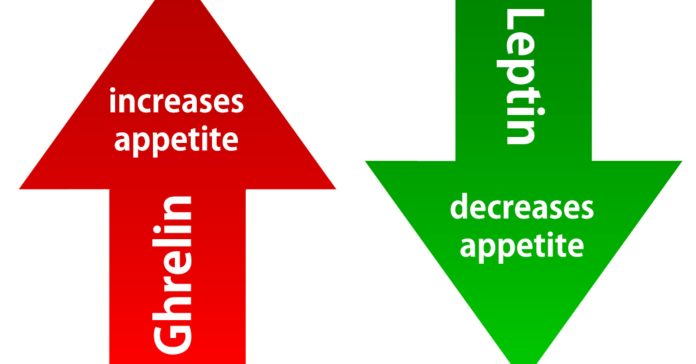 Hunger Hormone: Understanding Ghrelin and Its Role in Appetite