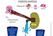 Diabetes Insipidus: Understanding the Rare Water Balance Disorder Diabetes Insipidus: Understanding the Rare Water Balance Disorder